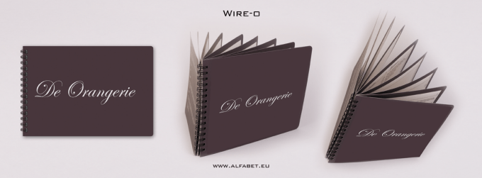 voorbeeld van een metlaen WireO